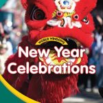 NEW YEAR CELEBRATIONS - WORLD WINDOWS L4