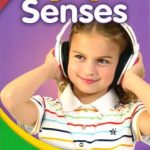 SENSES SB - WORLD WINDOWS L1