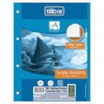 BLOCO P/ FICHARIO 4 FUROS ACAD ESCOLAR 56G 96F